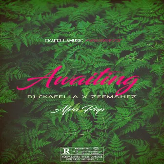 Awaiting by DJ Ckafella