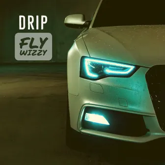 Drip (Radio Edit) by Fly Wizzy