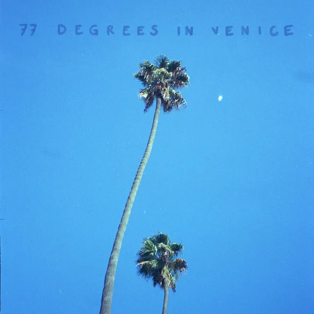 77 Degrees In Venice