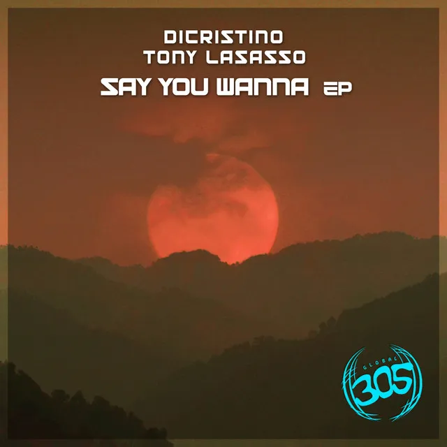 Say You Wanna - DiCristino Bklyn Deep House Mix