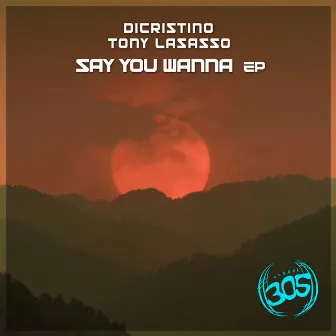 Say You Wanna EP by Tony Lasasso