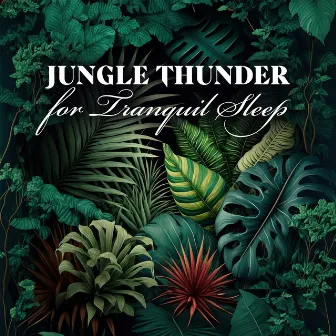 Jungle Thunder for Tranquil Sleep - Tropical Rain for Meditation, Mindfulness and Relaxation by Johnny Rainer