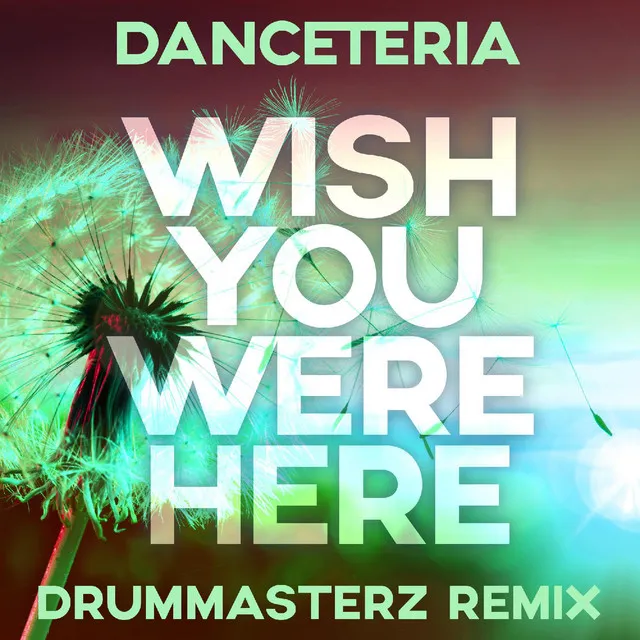 Wish You Were Here (DrumMasterz Remix)