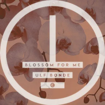 Blossom for Me EP by Ulf Bonde