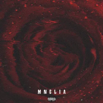 2:4 by Mnelia