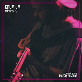 Qimmiq (Sesiones Insecta) by Grumium