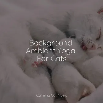 Background Ambient Yoga For Cats by Cat Music Dreams