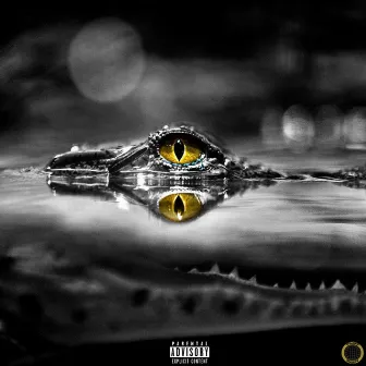 Crocodile Tears by Boy Wonder