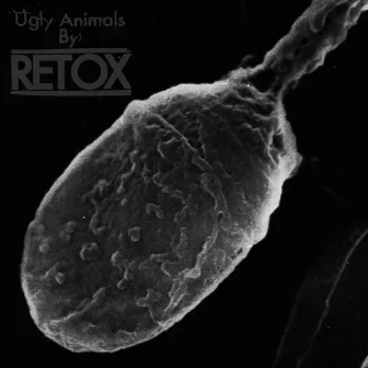 Ugly Animals by Retox