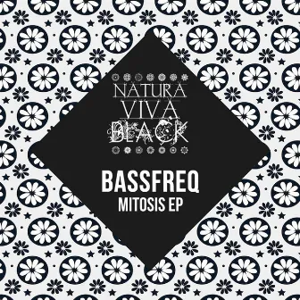 Mitosis by Bassfreq