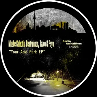 Your Acid Park EP by Moshé Galactik