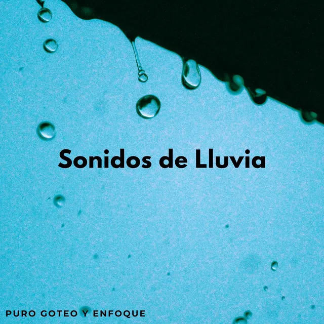 Sonidos De Lluvia: Puro Goteo Y Enfoque