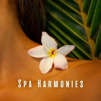 Spa Harmonies: Meditative Piano Medleys by Worship Music Piano