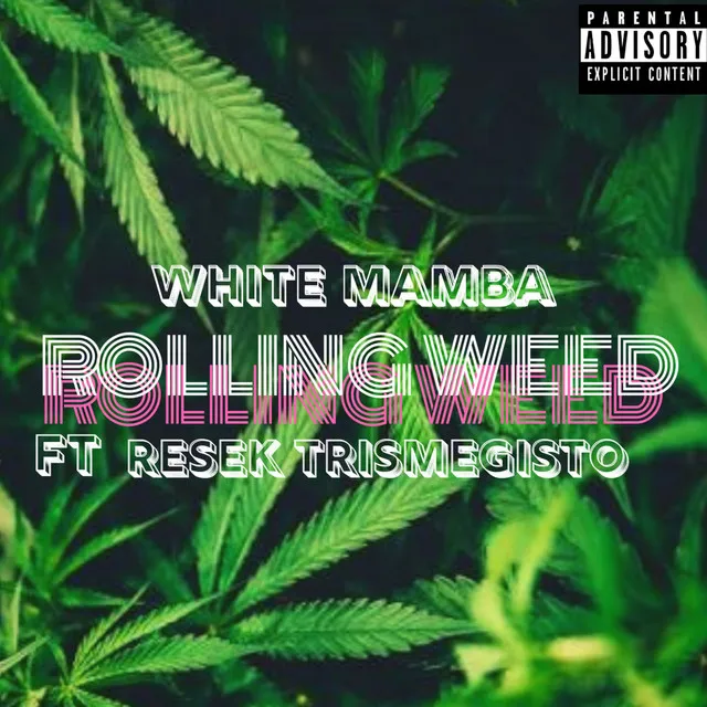 Rolling Weed