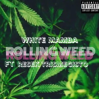 Rolling Weed by White Mamba