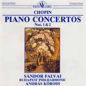 Piano Concertos Nos. 1 & 2 by Sandor Falvai