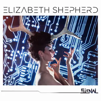 The Signal by Elizabeth Shepherd