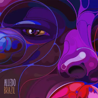 Brazil by Alledo