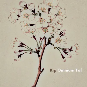 Kip by Omnium Tal