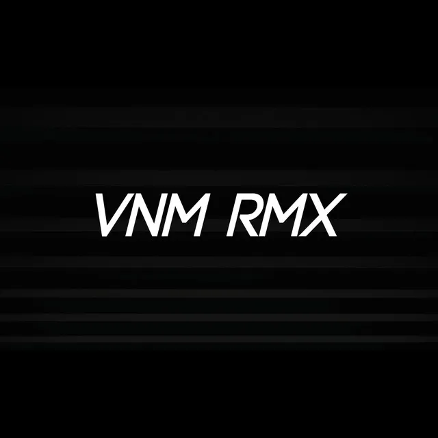 VNM RMX