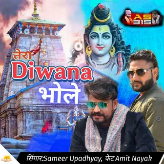 Tera Diwana Bhole (feat. Amit Nayak) by Sameer Upadhyay