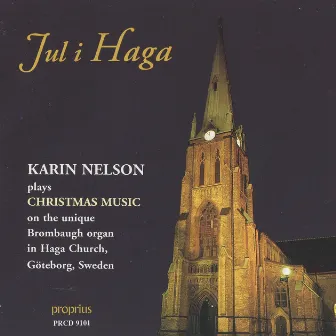 Jul i Haga by Karin Nelson