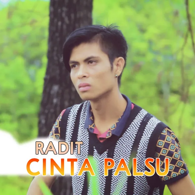 Cinta Palsu