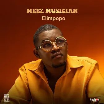 Elimpopo by Meez Musician