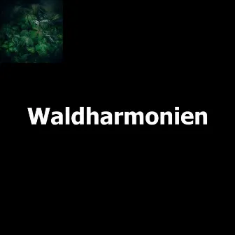 Waldharmonien by Kinderlieder Klavierkonzert