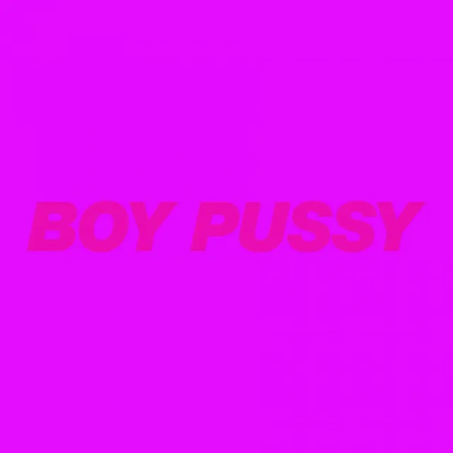 Boy Pussy: The Remixes, Vol. 2