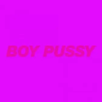 Boy Pussy: The Remixes, Vol. 2 by Boy Pussy