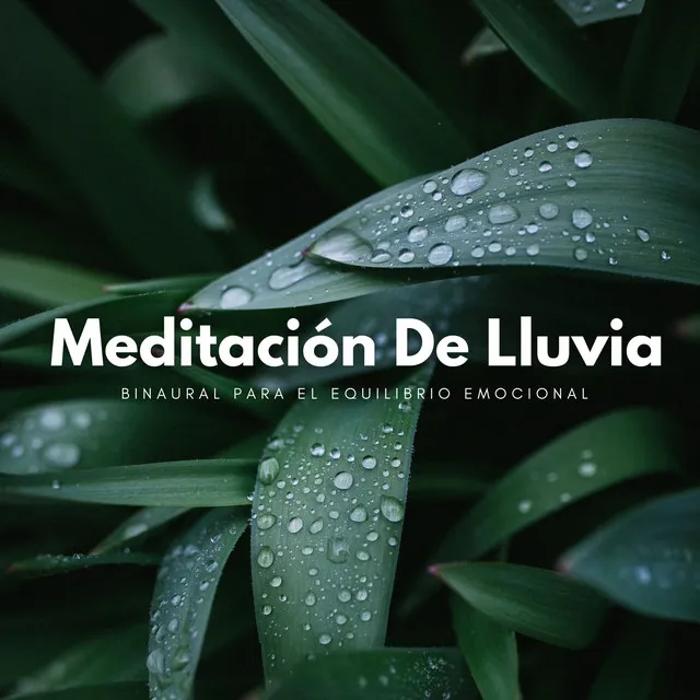 Meditación De Limpieza Con Tormentas