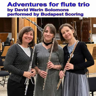 Adventures for Flute Trio by Budapest Scoring