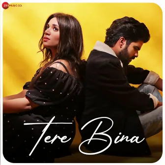 Tere Bina by Sajid