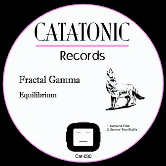 Equilibrium by Fractal Gamma