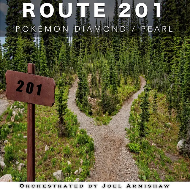 Route 201 (From 