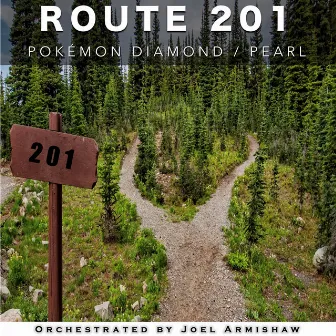 Route 201 (From 