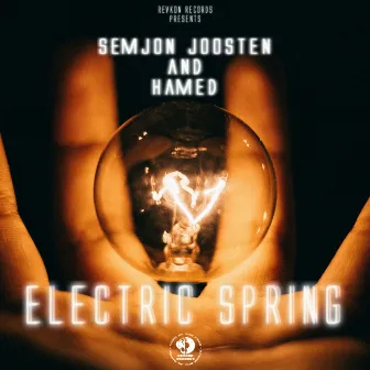 Electric Spring by Hamed