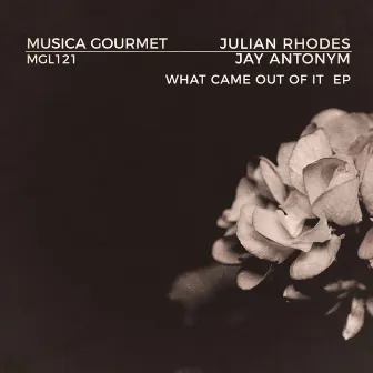 What Came Out of It by Julian Rhodes