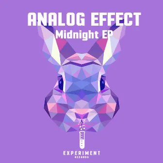 Midnight EP by Analog Effect