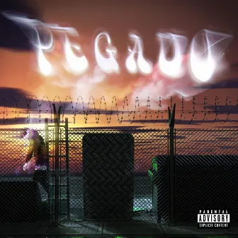 Pegado by Koax