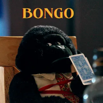 Bongo by Tine