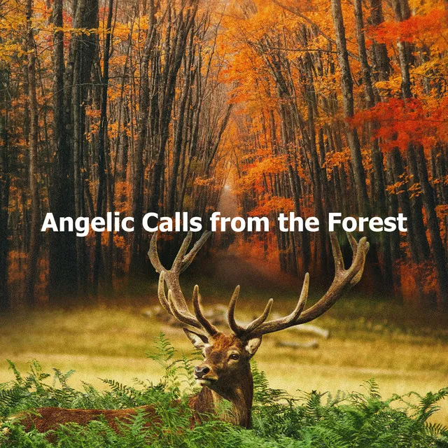 Angelic Calls from the Forest