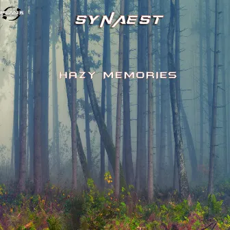 Hazy Memories by Synaest