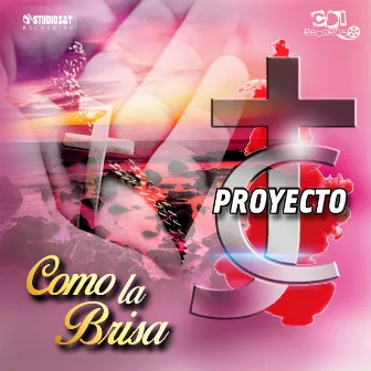 Como La Brisa by Proyecto JC