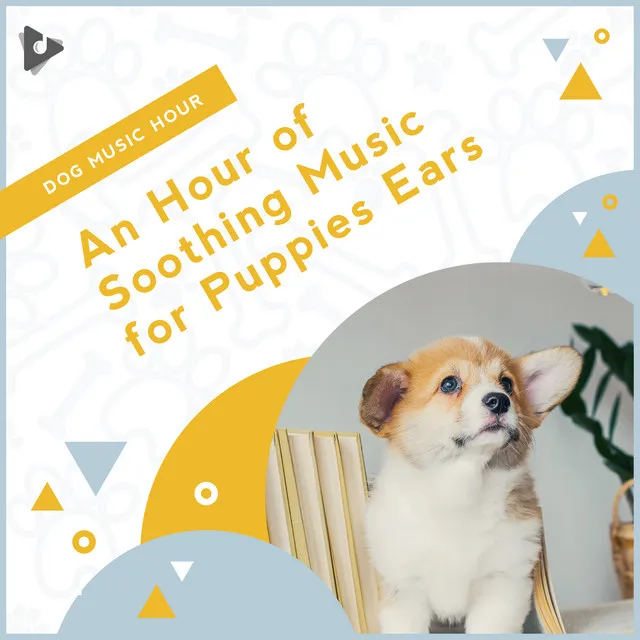 An Hour of Soothing Music for Puppies Ears