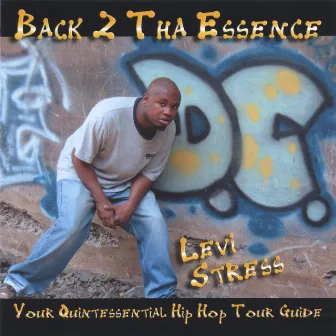 Back 2 Tha Essence - Your Quintessintal Hip Hop Tour Guide by Levi Stress