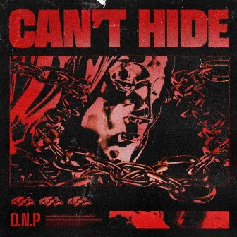 Can't Hide by DNP