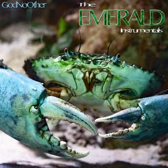 The Emerald Instrumentals by God No Other