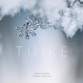 Tuike by Viena Kangas